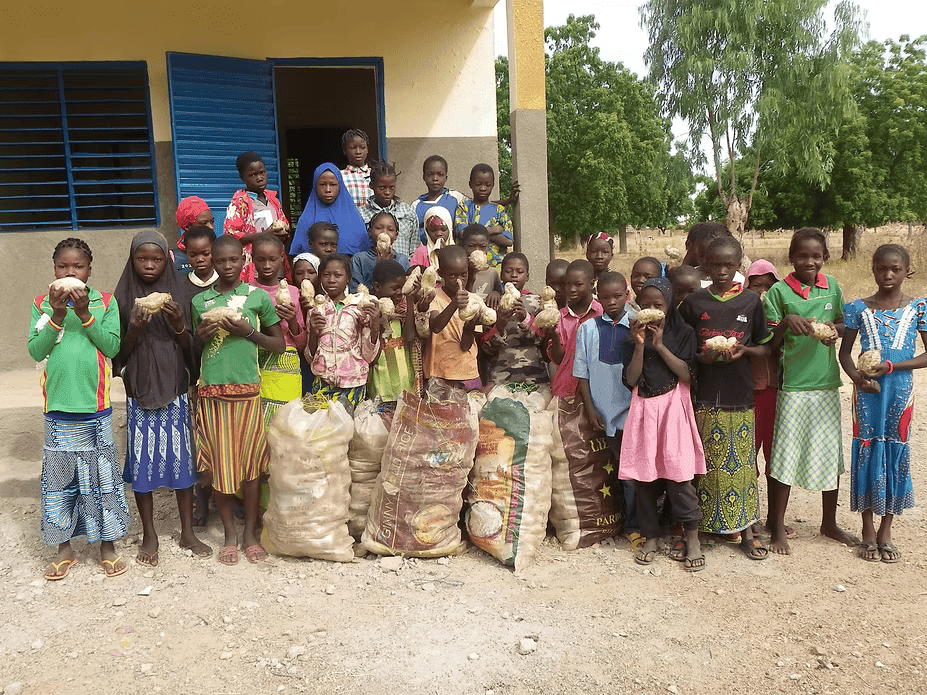 Patates douces - Ecole Sapaga A-2021