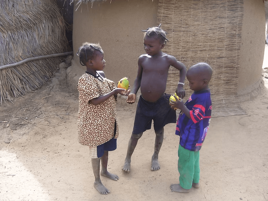 les enfants mangent des mangues