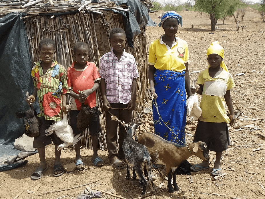 Lamoussa a reçu poules coq- chèvres